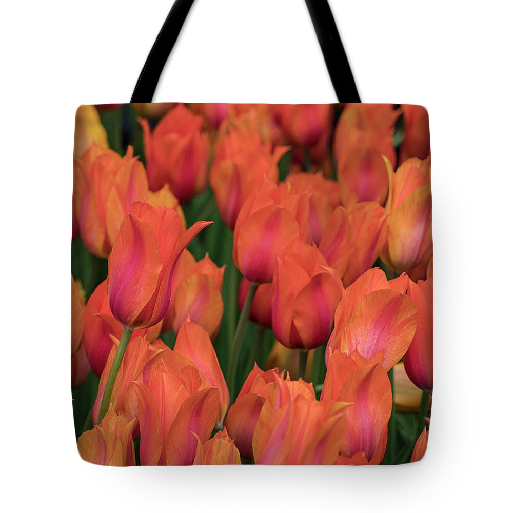 Beautiful Tote Bag featuring the photograph Vibrant Whispers by Teresa Wilson