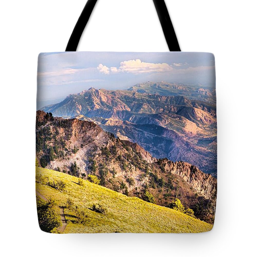 Utah Tote Bag featuring the photograph View From Above by Roxie Crouch