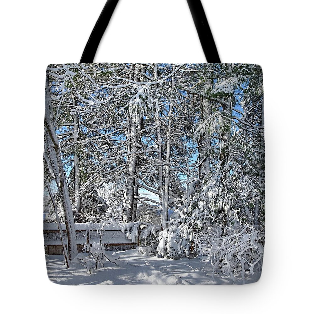 Winter Tote Bag featuring the photograph View from my Window by Lyuba Filatova