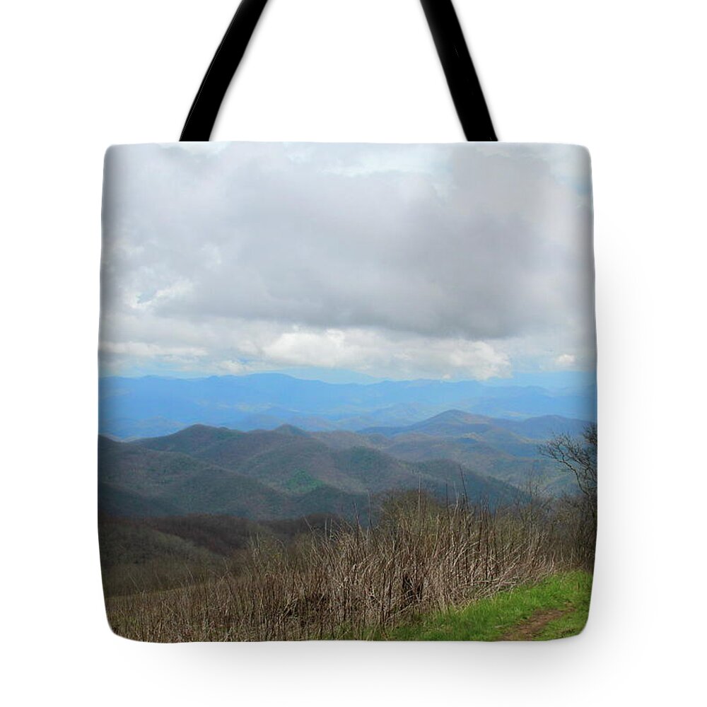 Nantahala National Forest Tote Bag featuring the photograph View From Silers Bald 2015d by Cathy Lindsey