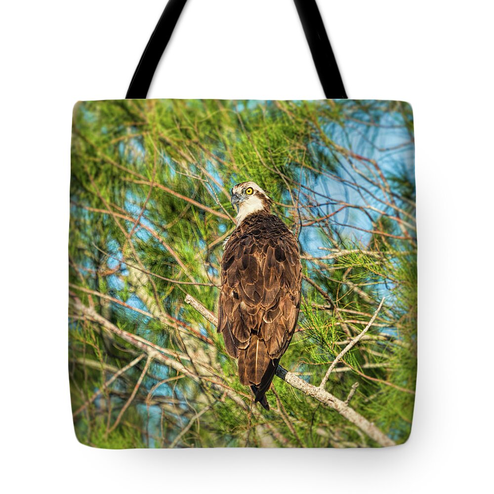 Birds Tote Bag featuring the photograph Vigilance by John M Bailey