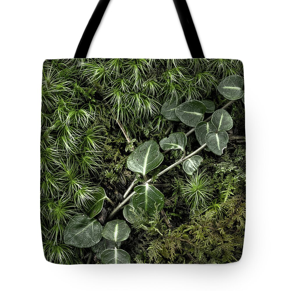 Moss Tote Bag featuring the photograph Vine And Moss by Mike Eingle