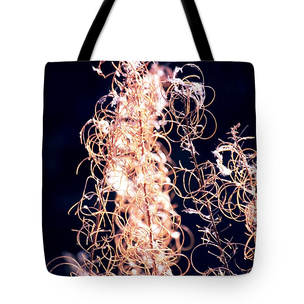 Vines Tote Bag featuring the photograph Vine Circles and Light by Kae Cheatham
