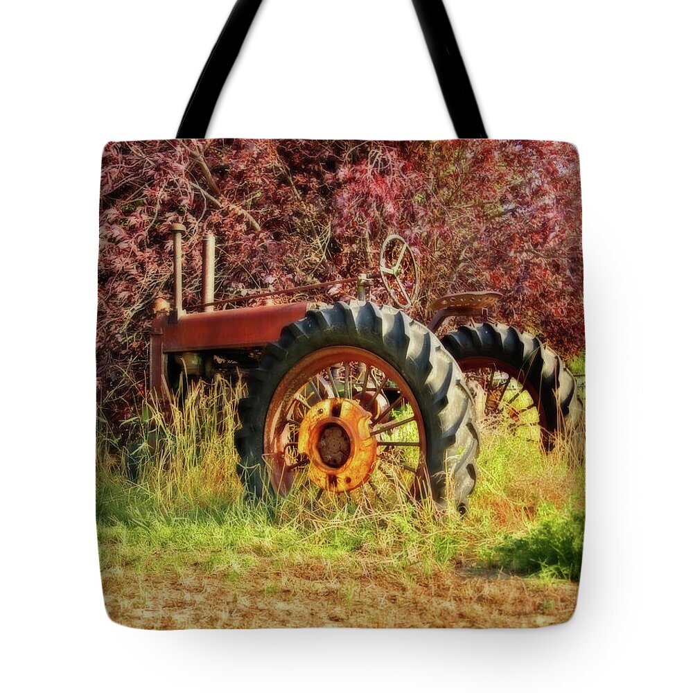 Fall Tote Bag featuring the photograph Vintage Maroon and Red by Amanda Smith