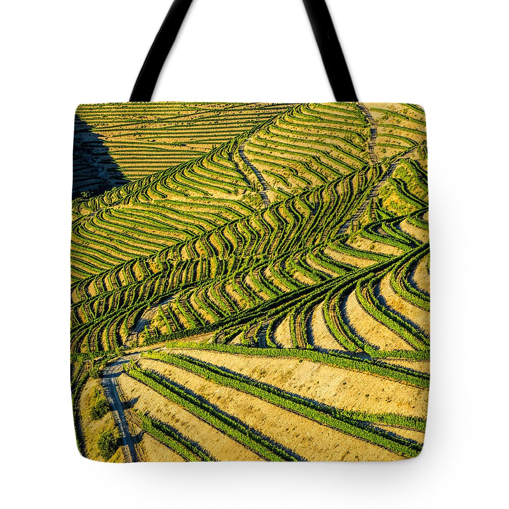  Tote Bag featuring the photograph Vineyard Web by Eggers Photography