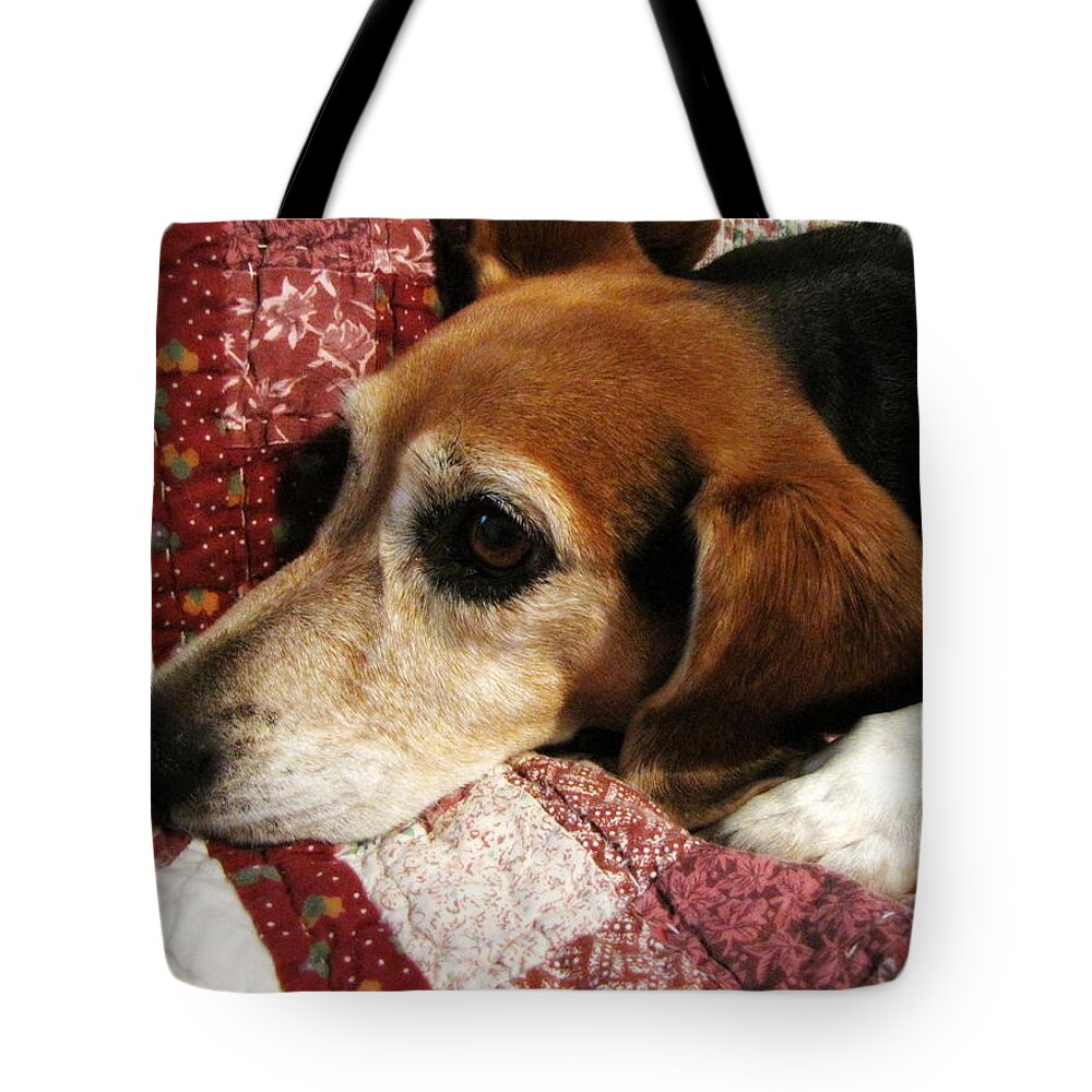 Violet Tote Bag featuring the photograph Violet by Beth Vincent