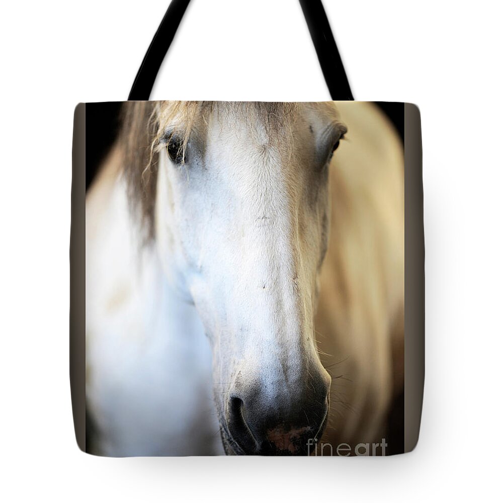 Rosemary Farm Tote Bag featuring the photograph Violet by Carien Schippers