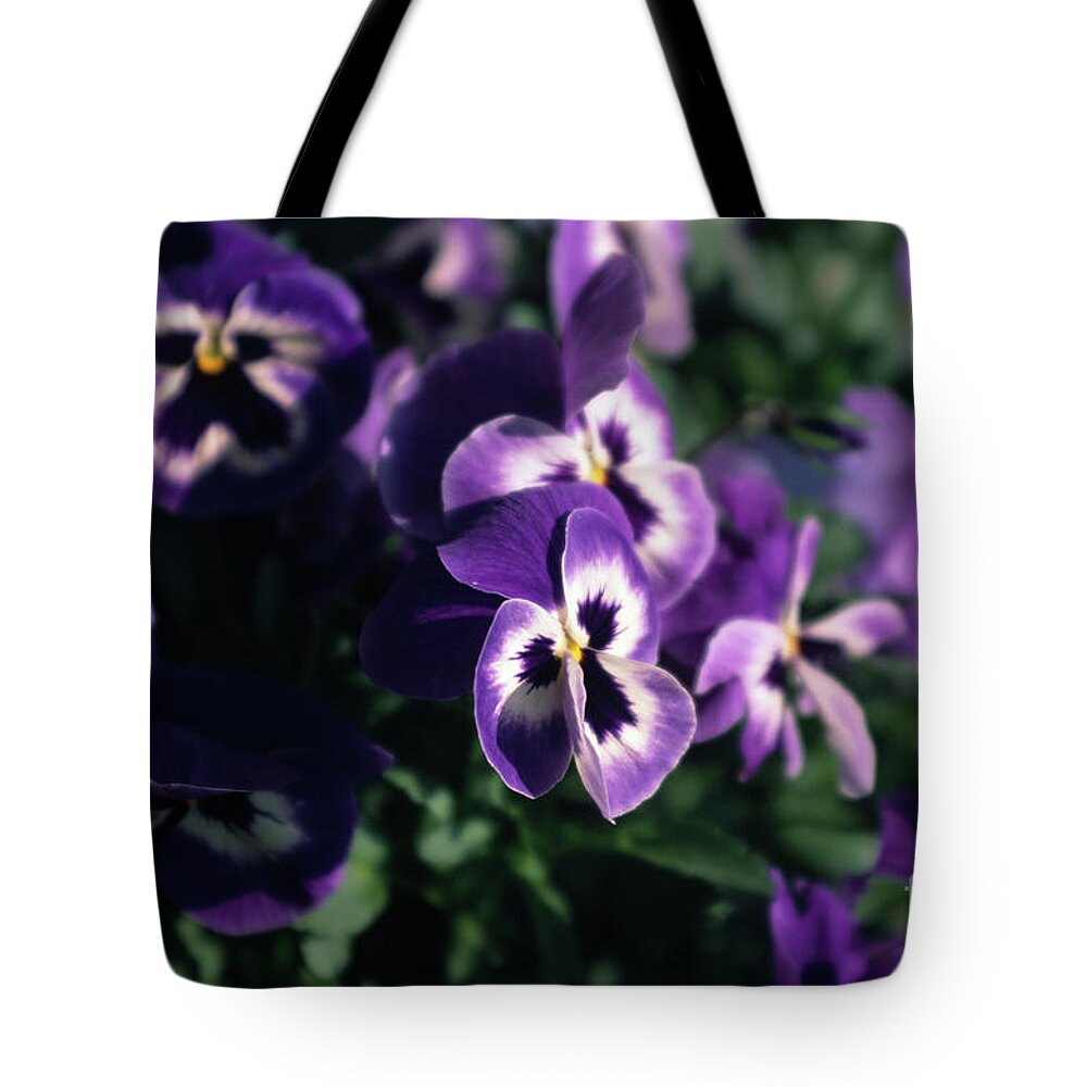 Violet Tote Bag featuring the photograph Violet Pansies by Riccardo Mottola