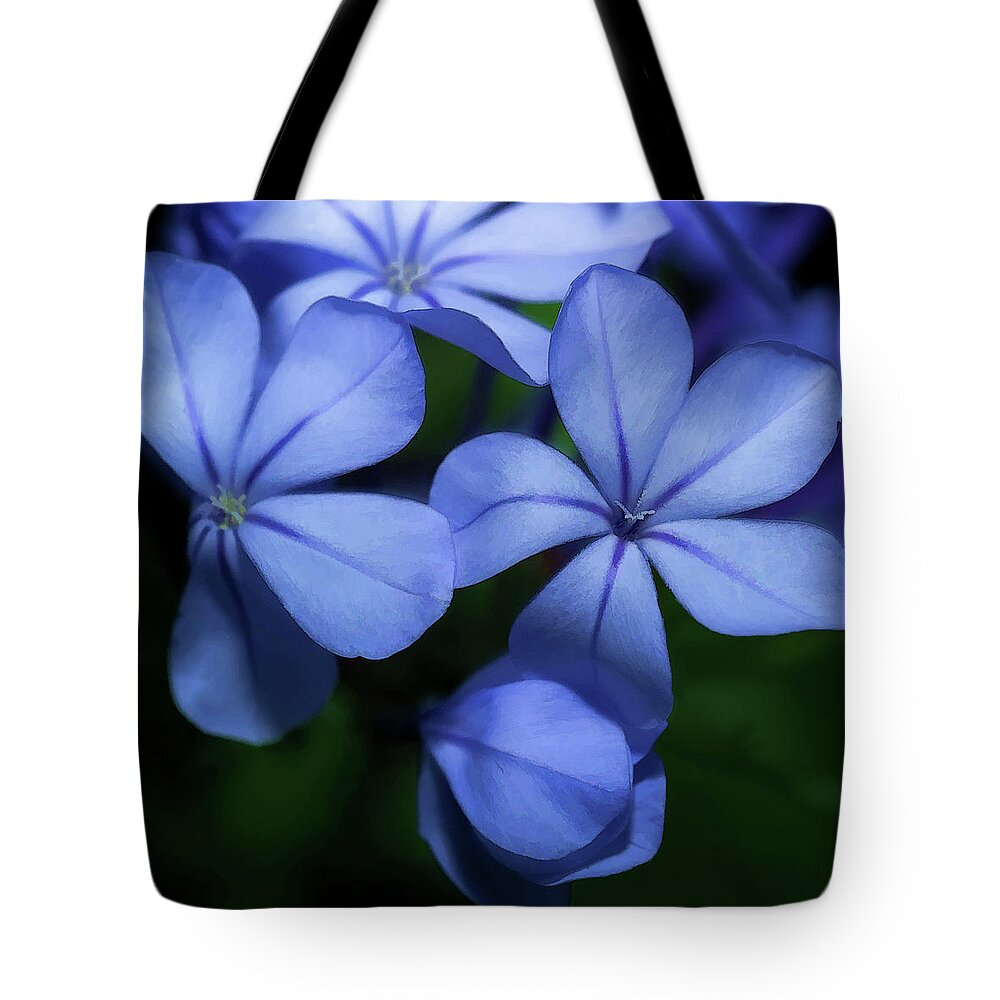 Flower Tote Bag featuring the photograph Violets by Frank Lee