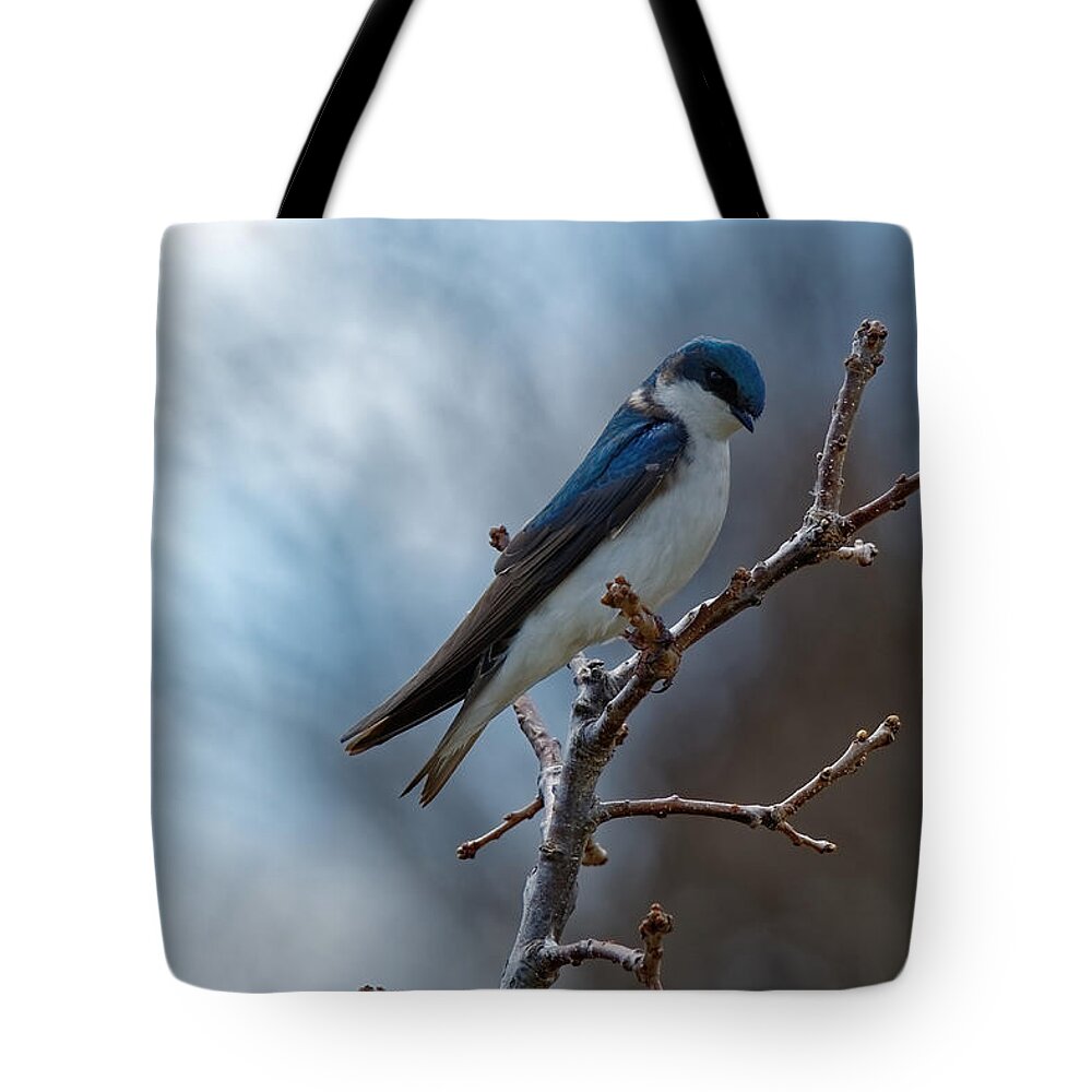 Bird Tote Bag featuring the photograph Vision in blue by Peter Ponzio