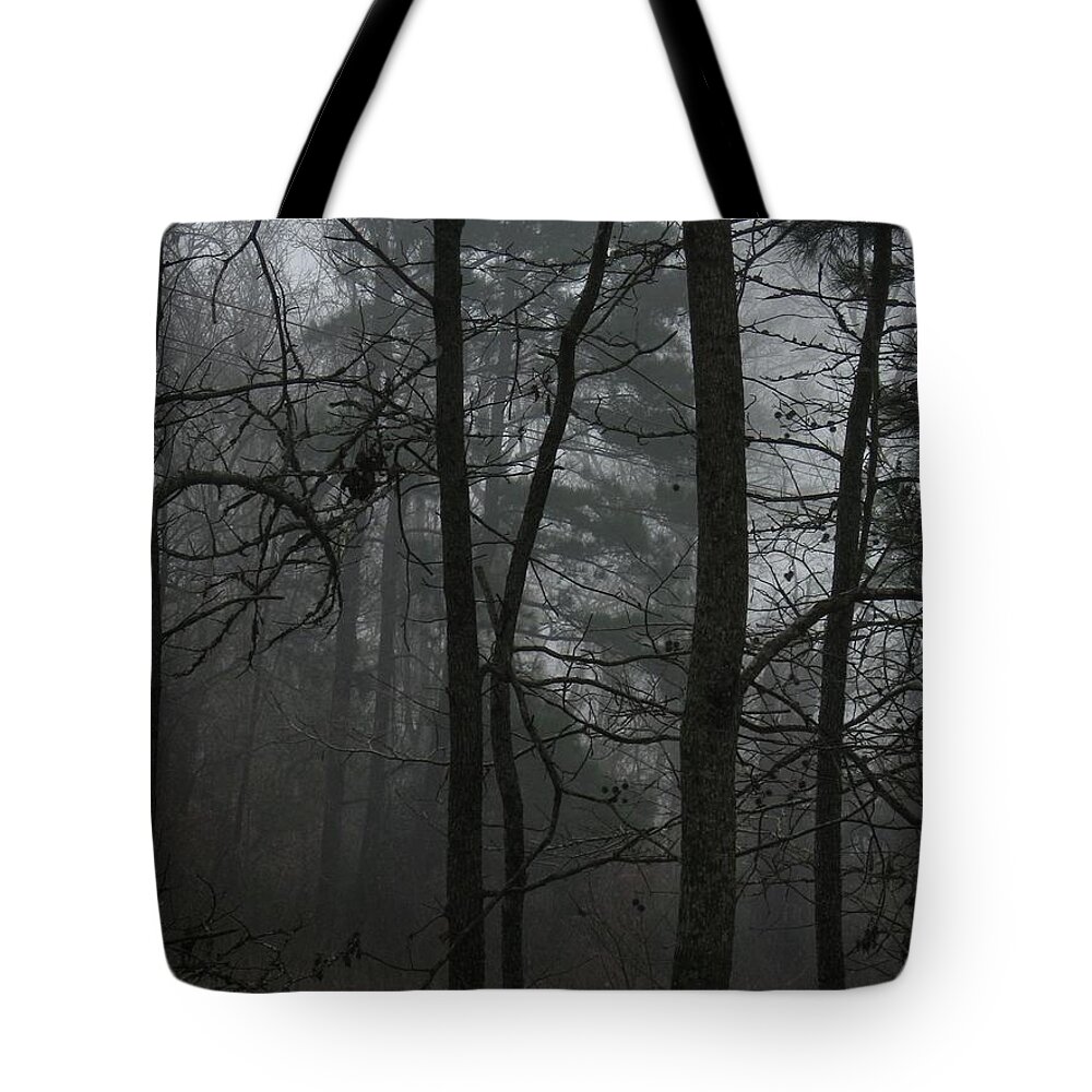 Forest Tote Bag featuring the photograph Visitation on a Foggy Morning by Judith Lauter