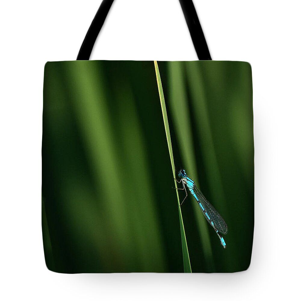Vivid Dancer Damselfly Tote Bag featuring the photograph Vivid Dancer Damselfly by Rick Mosher