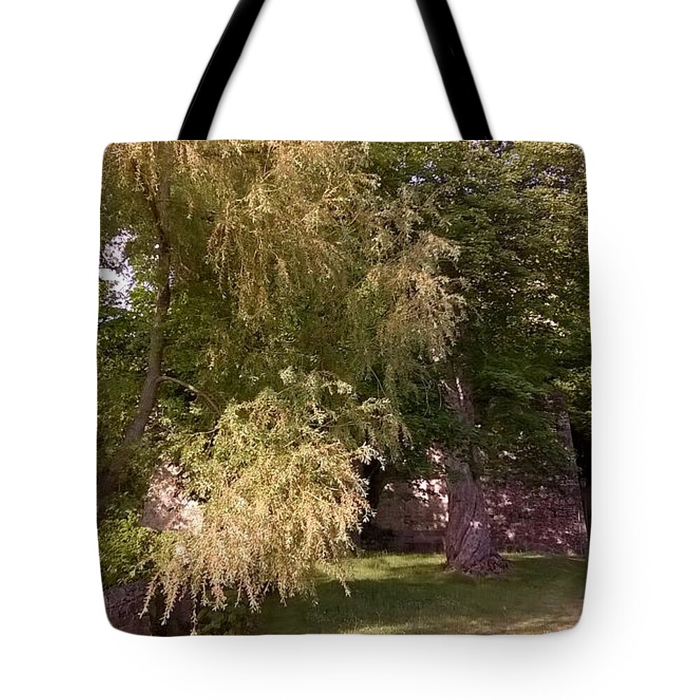 Vivo D'orcia Tote Bag featuring the photograph Vivo d'orcia by Katia Valenti