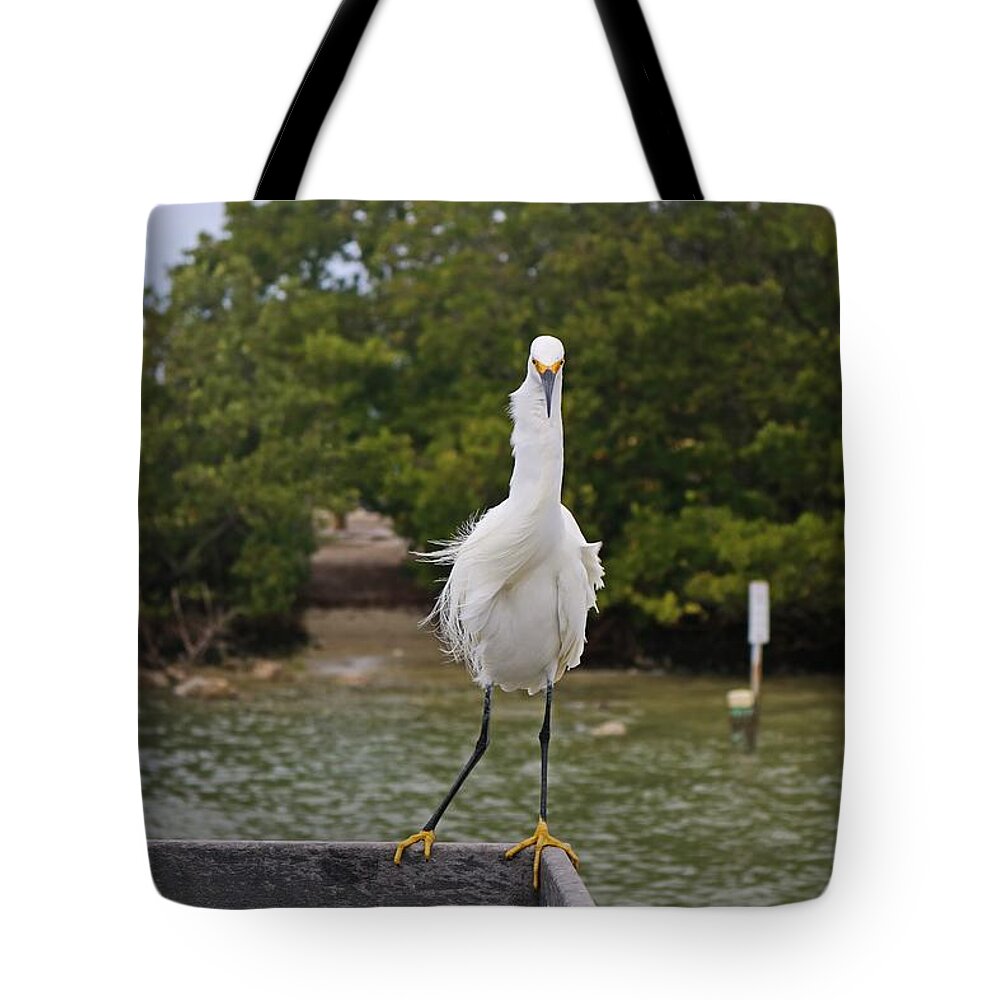 Snowy Egret Tote Bag featuring the photograph Voices in My Head by Michiale Schneider