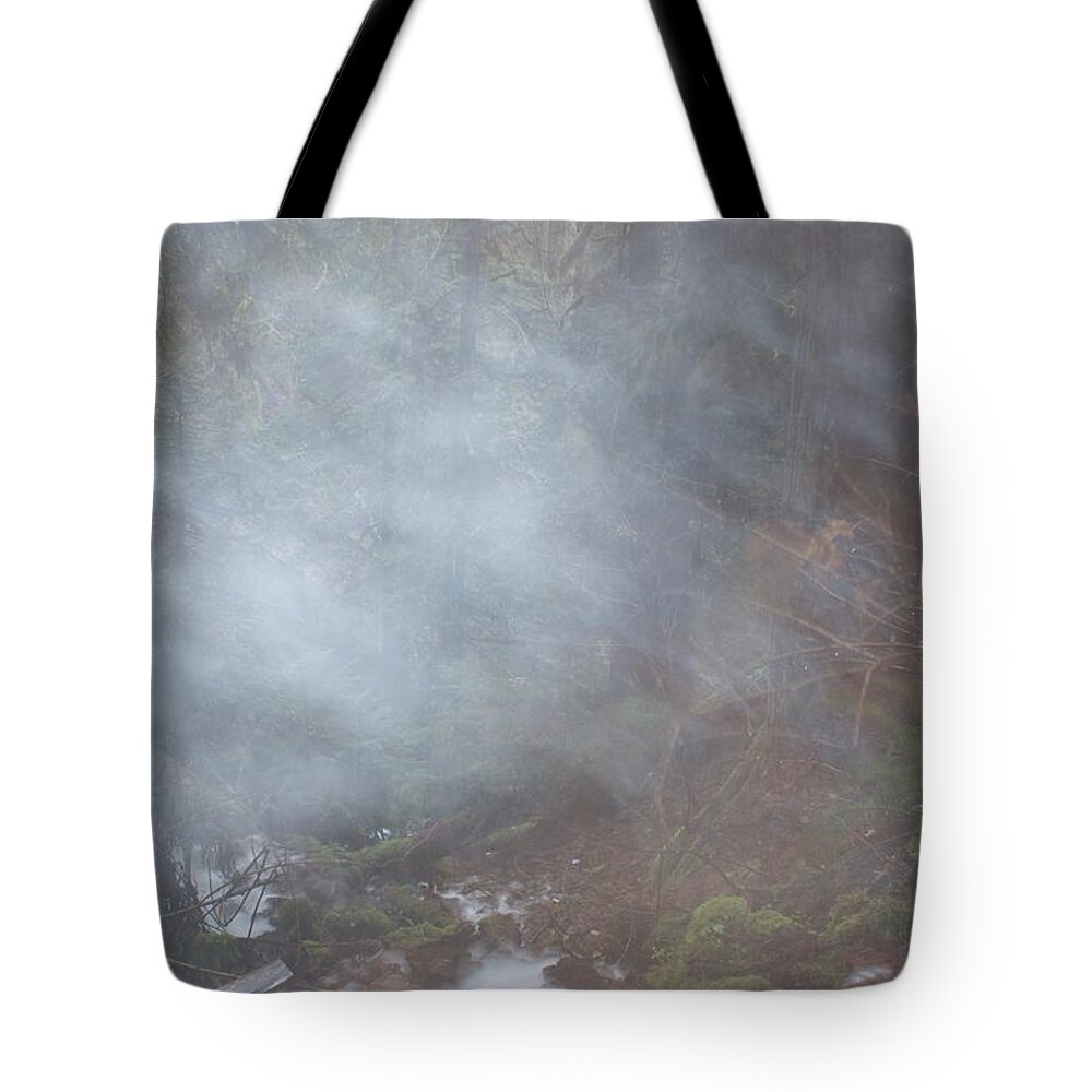 Wahkeena Mist Tote Bag featuring the photograph Wahkeena Mist by Dylan Punke