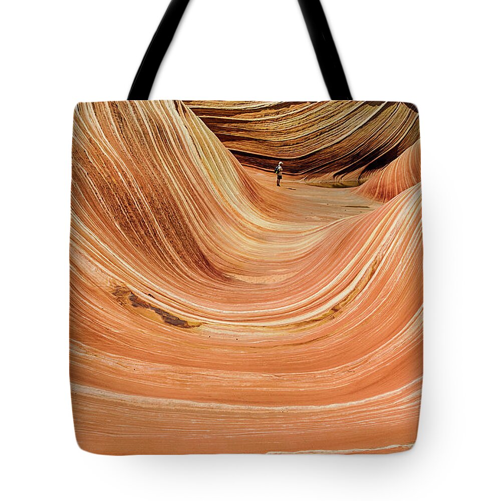 The Wave Tote Bag featuring the photograph Waiting at The Wave by Gaelyn Olmsted