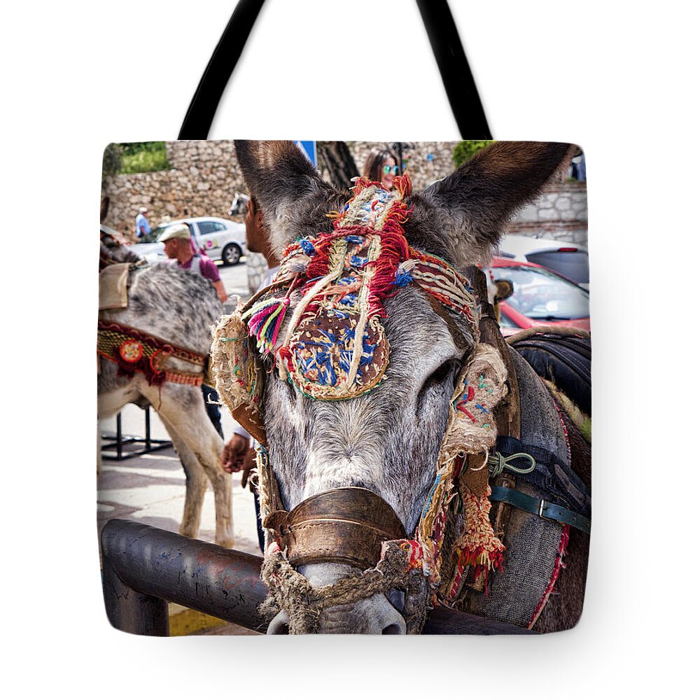 Donkey Tote Bag featuring the photograph Waiting for Yet Another Fare by Brenda Kean