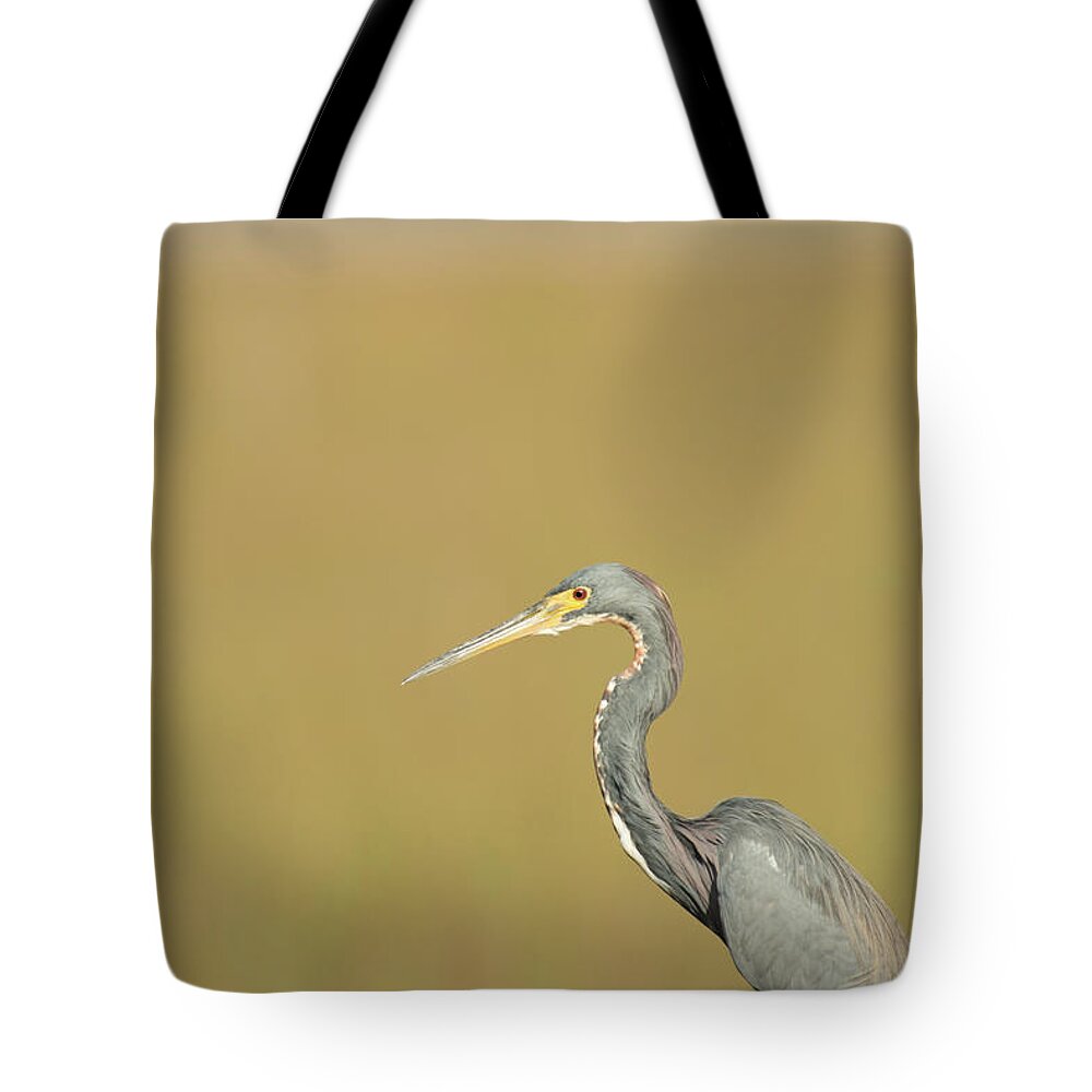 Everglades National Park Tote Bag featuring the photograph Waiting by Frank Madia