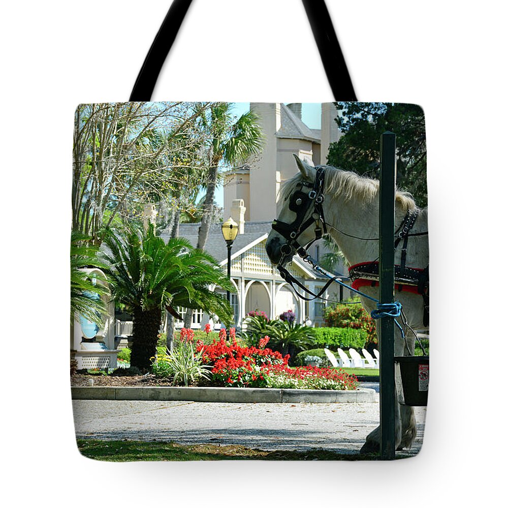 Jekyll Island Tote Bag featuring the photograph Waiting Horse by Bruce Gourley