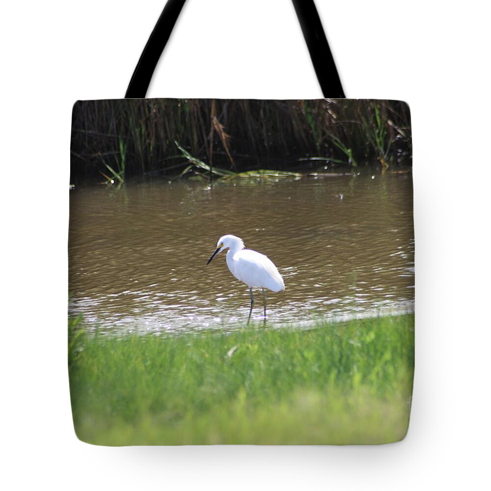 White Tote Bag featuring the photograph Waiting by John W Smith III