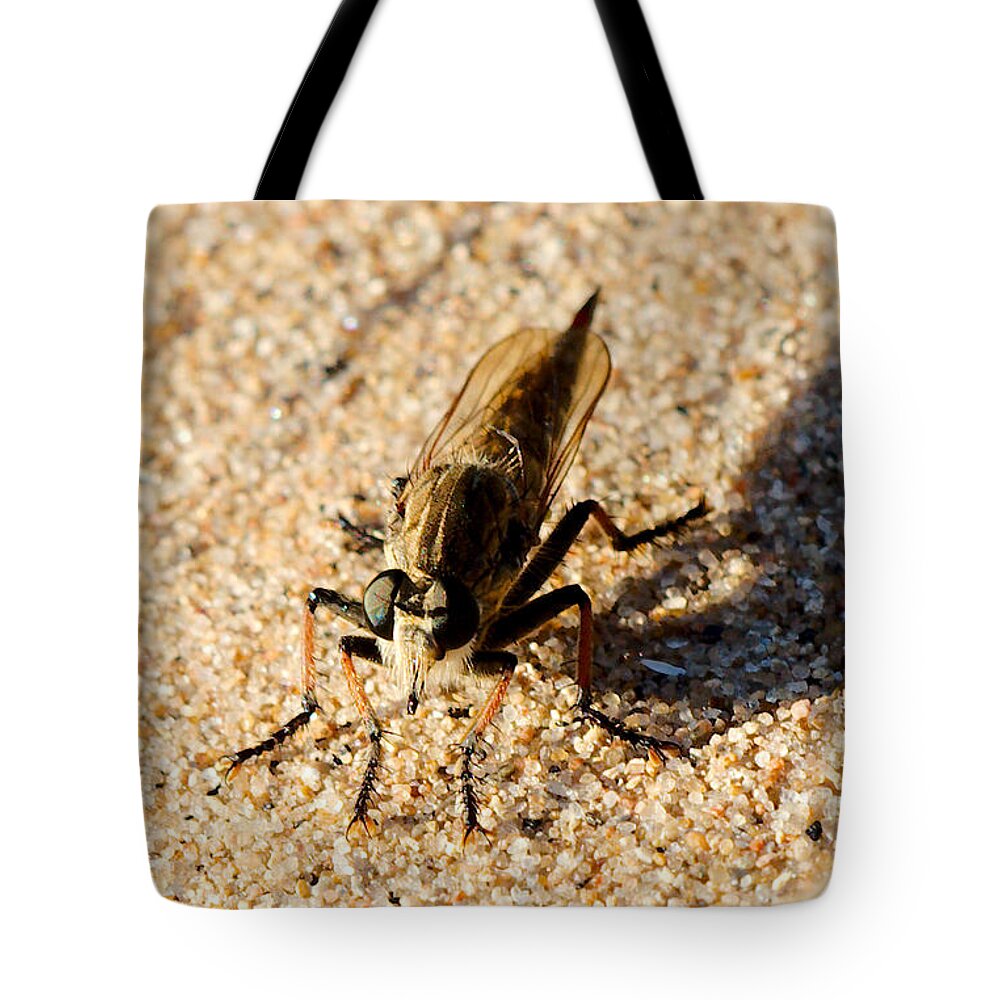Robberfly Tote Bag featuring the photograph Waiting on a meal by James Smullins