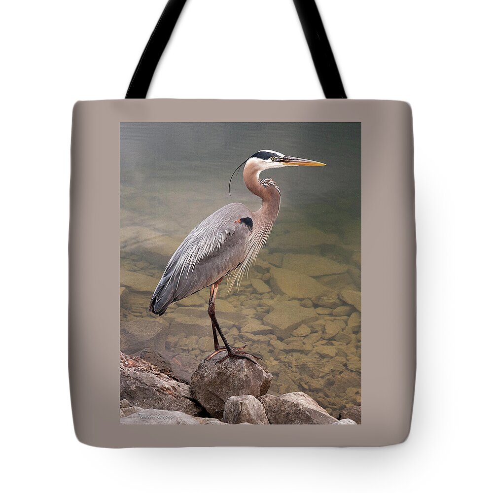 Blue Heron Tote Bag featuring the photograph Waiting by Terri Harper