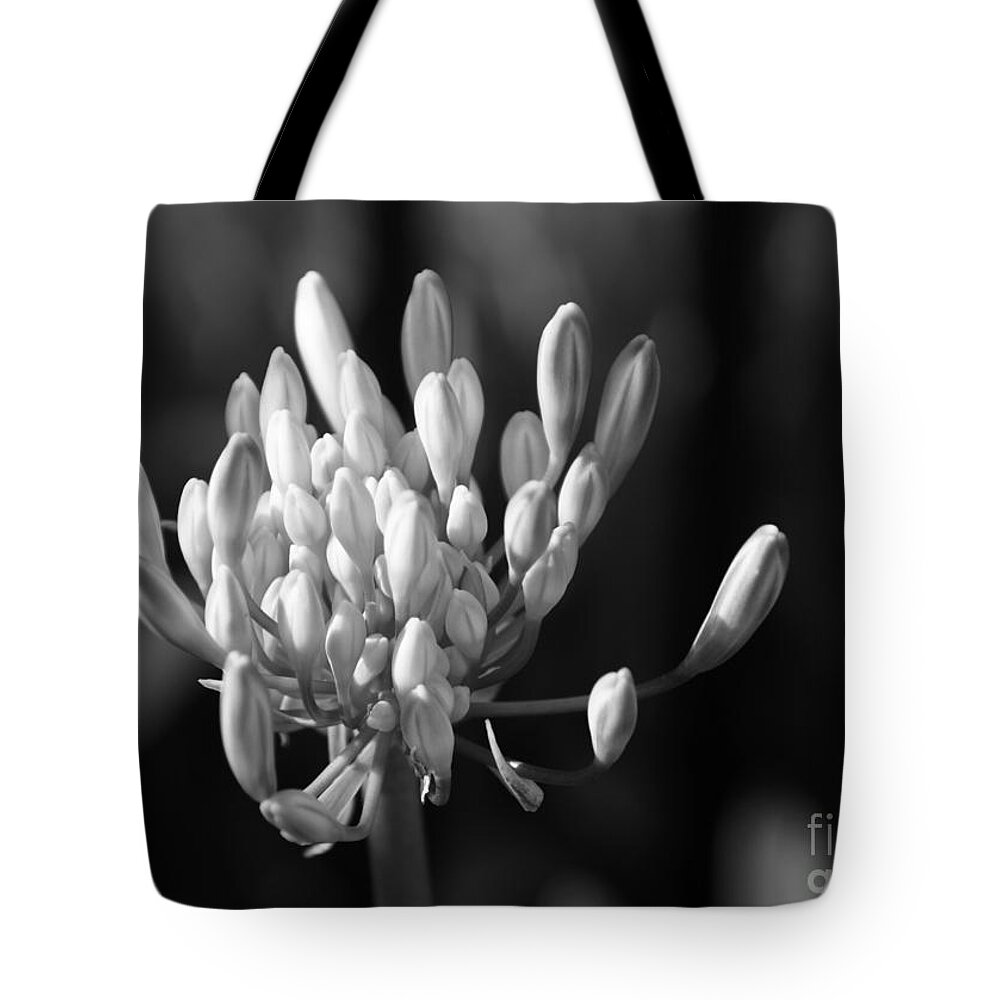 Floral Tote Bag featuring the photograph Waiting To Blossom Into Beauty - bw by Linda Shafer