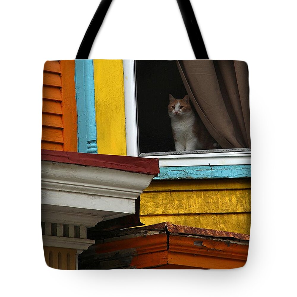 Cats Tote Bag featuring the photograph Waiting... by Yvonne Wright