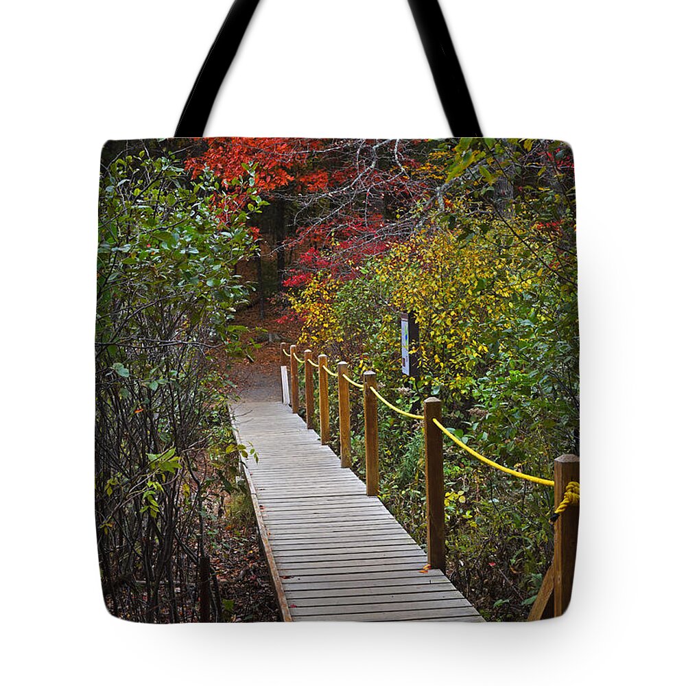 Walden Tote Bag featuring the photograph Walden Pond Footbridge Concord MA by Toby McGuire