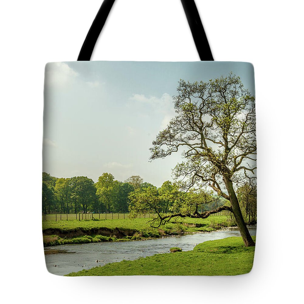 Footpath Tote Bag featuring the photograph Walk along the Hodder by W Chris Fooshee