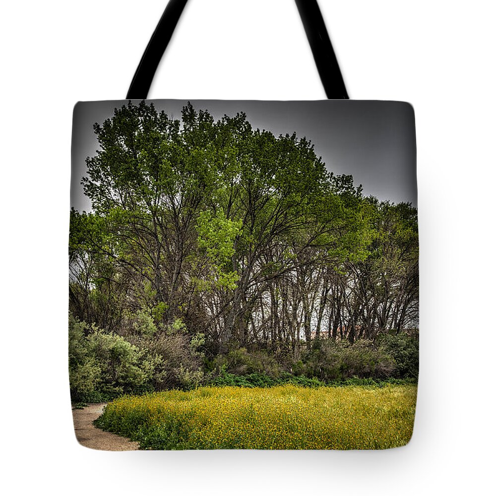 Agriculture Tote Bag featuring the photograph Walk in the meadow in spring by Connie Cooper-Edwards