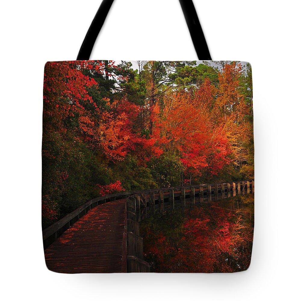 Fall Tote Bag featuring the photograph Walk Into Fall by Randy Rogers