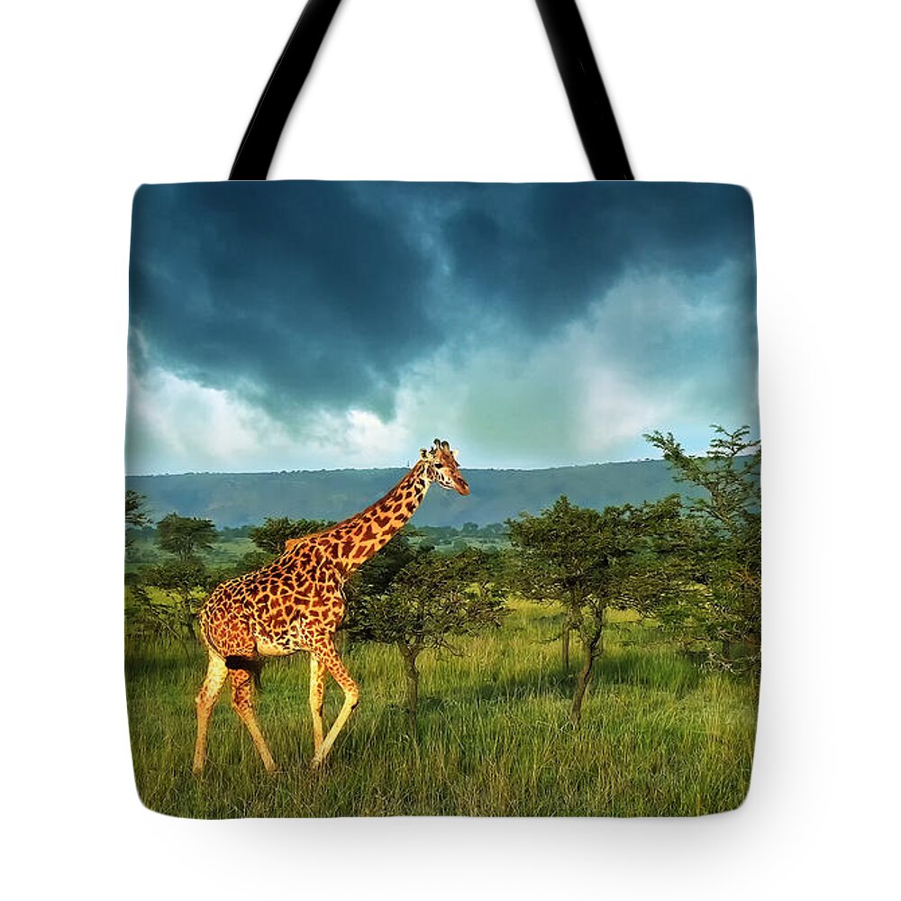 Giraffe Tote Bag featuring the photograph Walking Alone by Charuhas Images