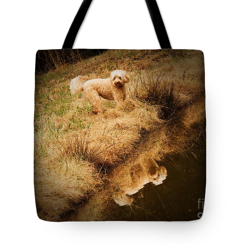 Multi-generational Labradoodle Tote Bag featuring the photograph Walking by the pond by Sandra Clark