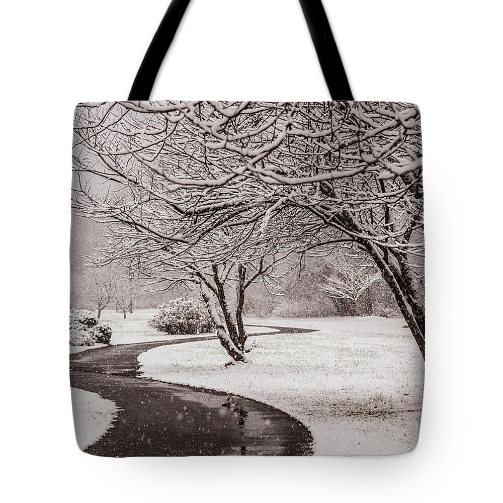 Appalachia Tote Bag featuring the photograph Walking In a Winter Wonderland by Debra and Dave Vanderlaan