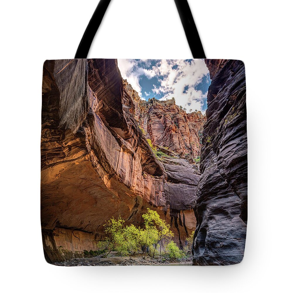 Zion Tote Bag featuring the photograph Walking in the Virgin river of Zion National Park by Pierre Leclerc Photography