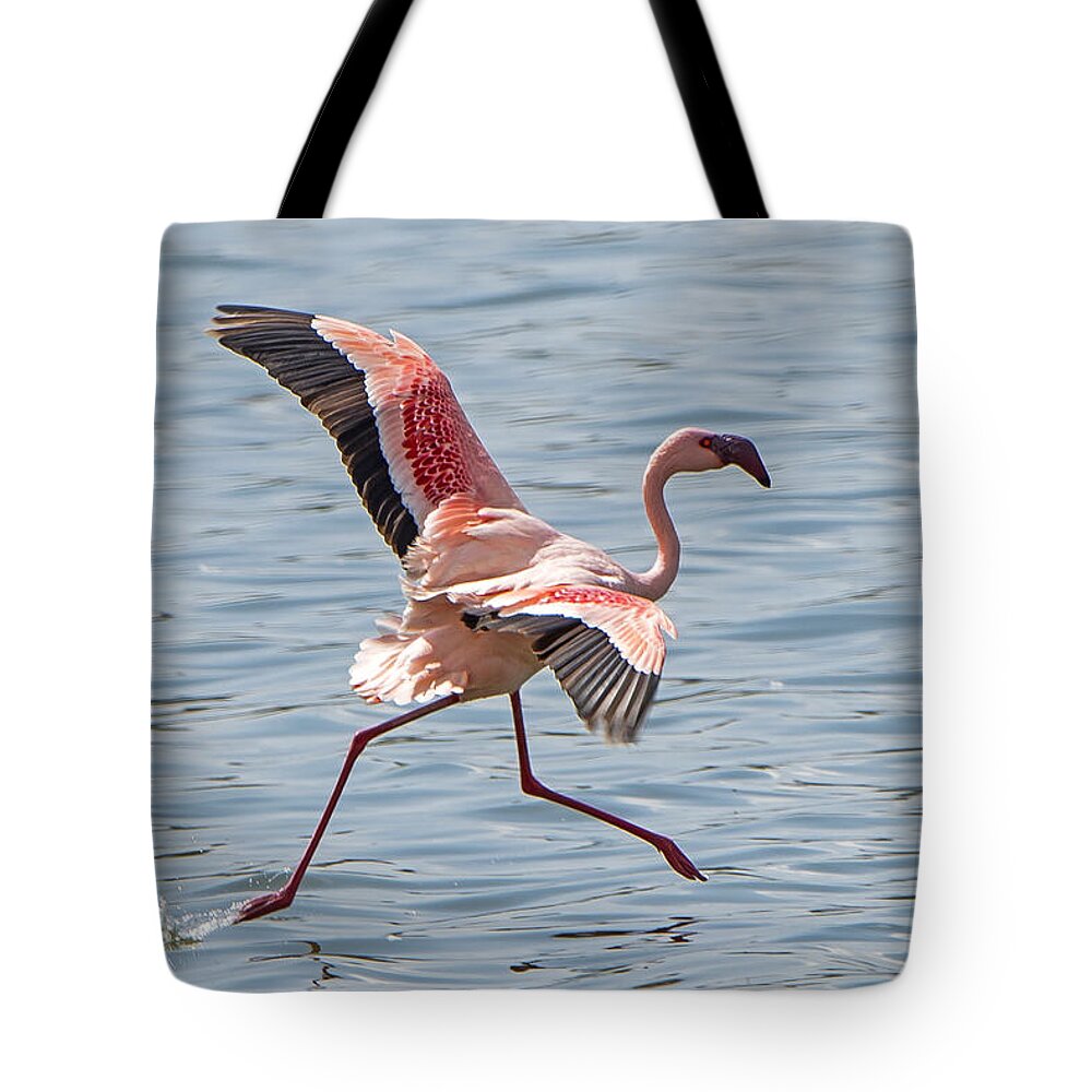 Flamingo Tote Bag featuring the photograph Walking on water by Pravine Chester