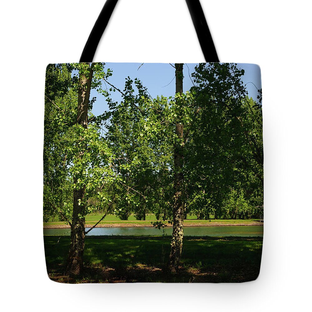 Trees Tote Bag featuring the photograph Walking Trail in Adna Washington by Tikvah's Hope