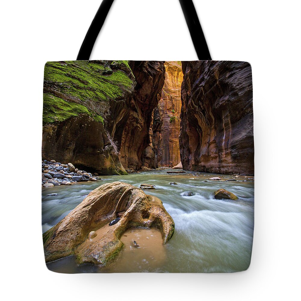 Zion Tote Bag featuring the photograph Wall Street of the Narrows by Wesley Aston