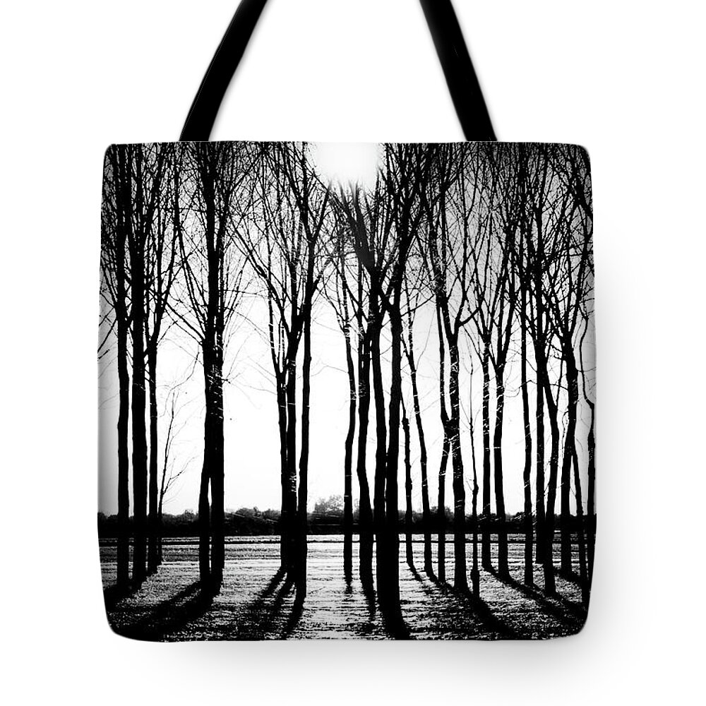 Grove Tote Bag featuring the photograph Walnut Grove Fall Evening by Michael Arend