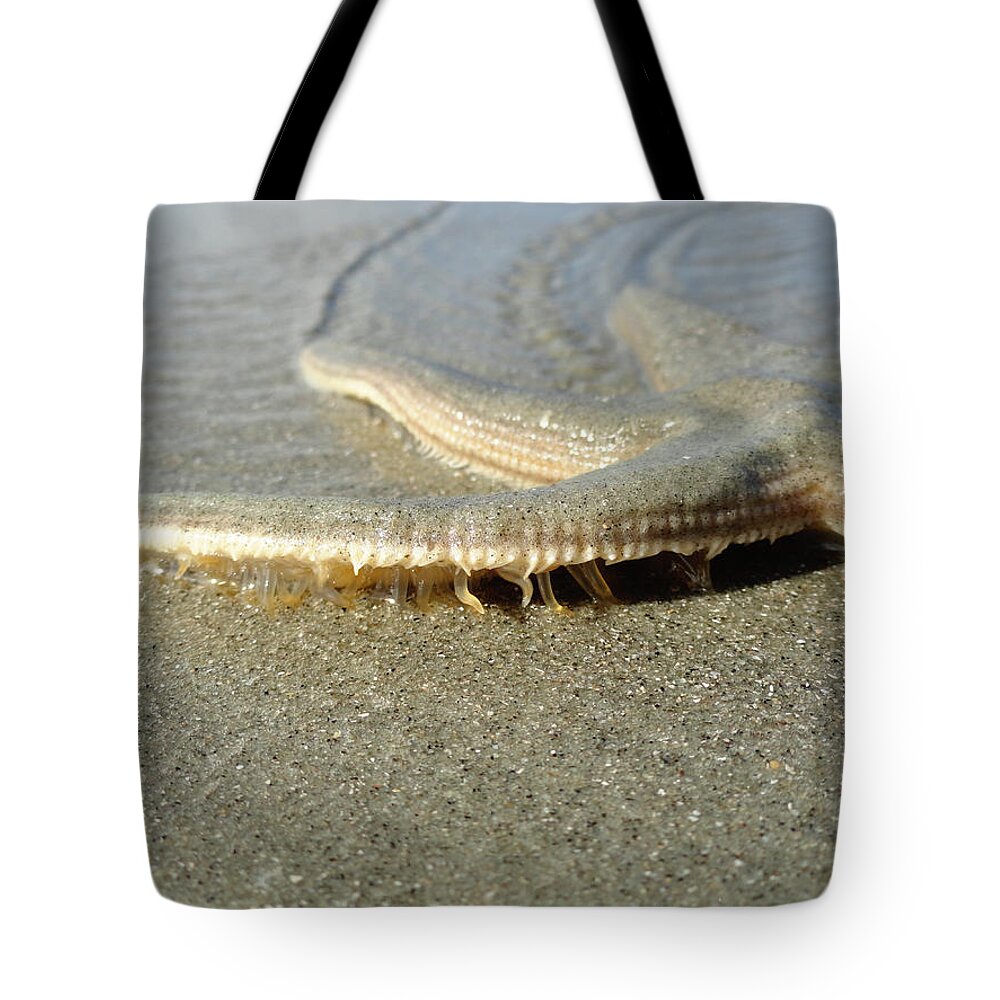 Wandering Star Tote Bag featuring the photograph Wandering Star by Christopher Spicer