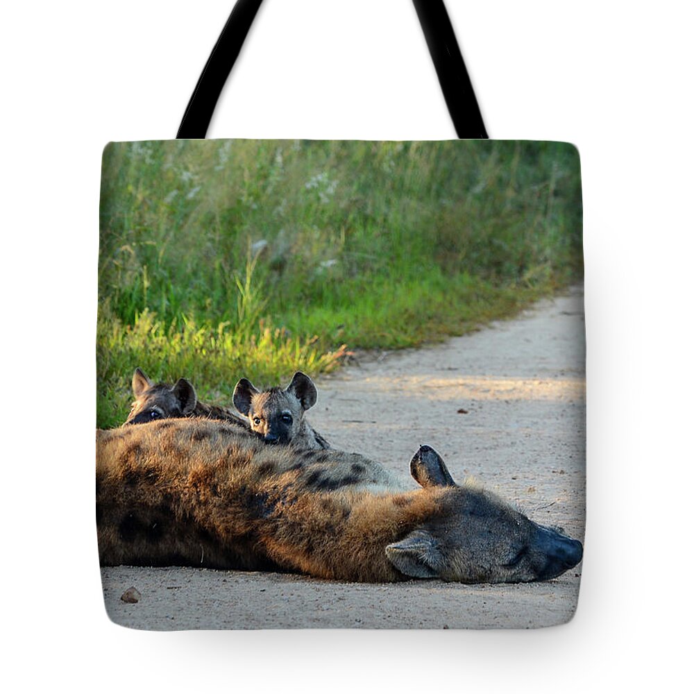 Hyenas Tote Bag featuring the photograph Warily watching by Gaelyn Olmsted