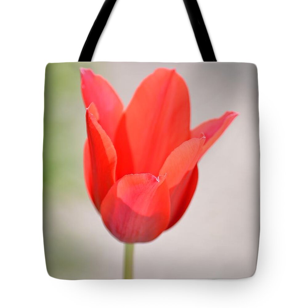 Beach Bum Pics Tote Bag featuring the photograph Warm Pink Tulip by Billy Beck