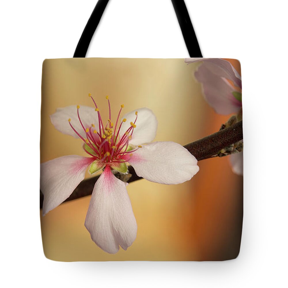 Cherry Tote Bag featuring the photograph Warmth of hope. by Elena Perelman