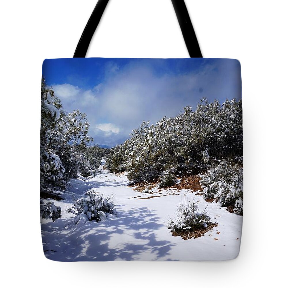 Warner Springs Tote Bag featuring the photograph Warner Springs Snow by Julia Ivanovna Willhite