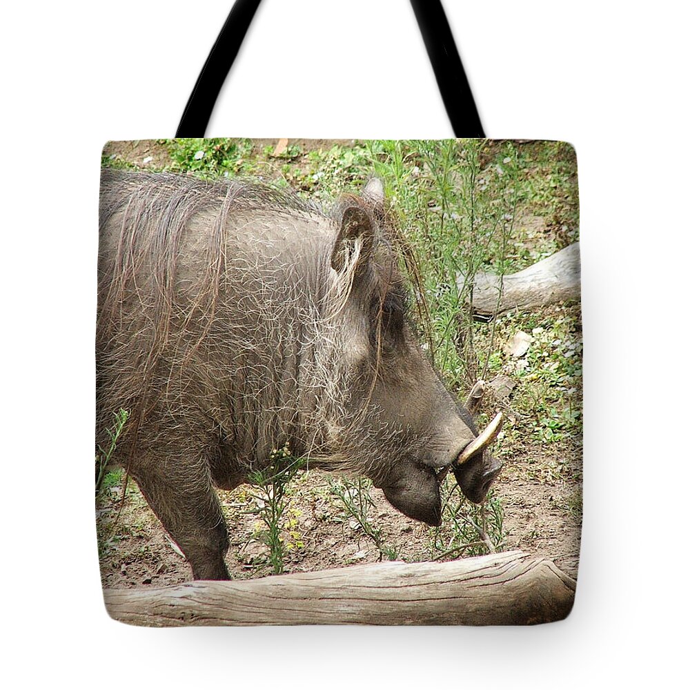 Phacochoerus Tote Bag featuring the photograph Warthog by Deana Glenz
