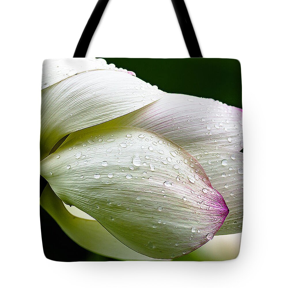 Droplets Tote Bag featuring the photograph Warts and all by Edward Kreis