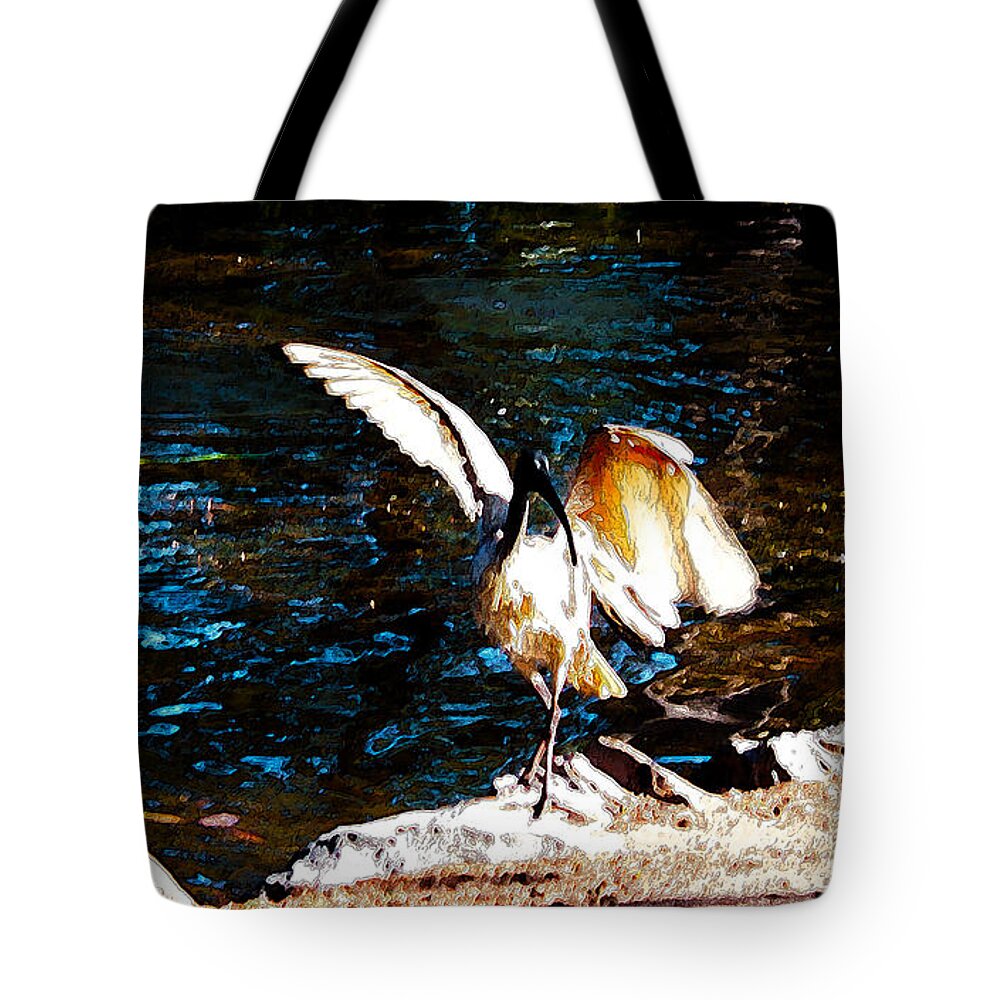 Bird Tote Bag featuring the digital art Watch Me Dance by Susan Vineyard