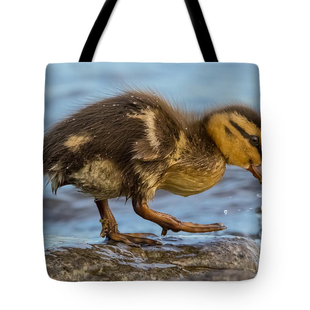 California Tote Bag featuring the photograph Watch Your Step by Marc Crumpler