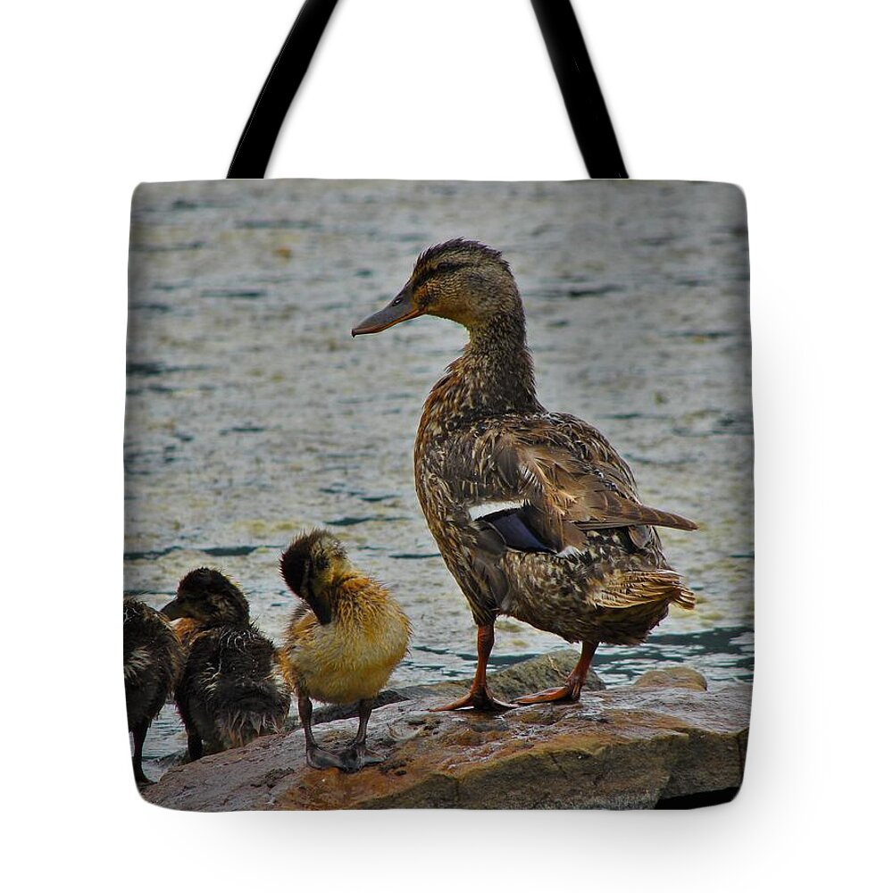 Duck Tote Bag featuring the photograph Watchful Eye by Carl Moore